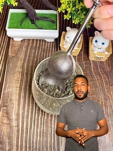 4K views · 49 reactions | Este utensilio es ideal para preparar té de forma rápida y sencilla. Solo coloca los herbajes en su interior, ciérralo y agrégalo al agua caliente | Stanley J Show | Facebook