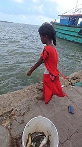 875K views · 11K reactions | Unbelievable Deep Sea Fishing | Village Life 1 | Facebook