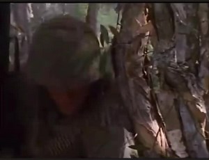 Lush Hawaiian Jungle in all its splendor | Ramon Franco