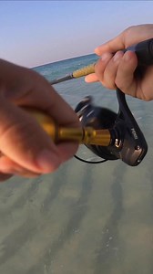 This one has tricks! #fishing #fishingislife #surffishing #beachfishing #beach #beachbum | Bama Beach Bum