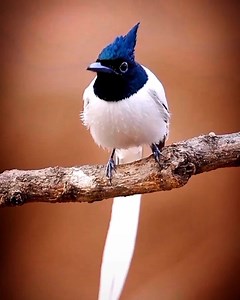 Ebiet G Ade - Berita Kepada Kawan (Lyrics) Indonesia/1978 - Beliau adalah pencipta lagu KAMELIA yang telah dinyanyikan semula oleh SWEET CHARITY dari Singapura dengan genre ROCK pada tahun 1981 sehingga menjadi FENOMENA di Nusantara. Ramai pengiat seni mengidolakanya. | Peminat Lagu Rock