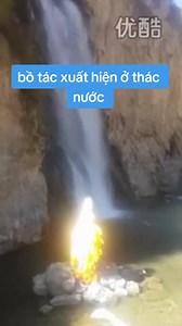 221K views · 14K reactions | NAM MÔ QUÁN THẾ ÂM BỒ TÁT | Cửu Phẩm Liên Hoa | Facebook