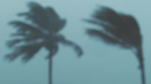 4.3K views · 14 reactions | Live streaming is available without subscription for the duration of Helene coverage on our website at www.baynews9.com and on our Spectrum News app which can be downloaded at spectrumnewsapp.com. | Spectrum Bay News 9 | Facebook