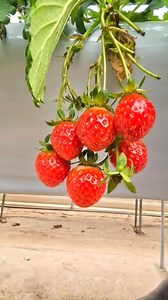 11 reactions | Minsu Kim on Reels | Facebook