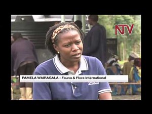 The Batwa (Education) part three.