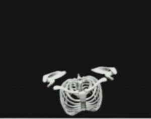 Unveiling the Trapezius Muscle and Scapular Dynamics Experience the intricate synergy: Upper Trap: Elevation & Upward Rotation Middle Trap: Guiding Adduction (Medial Retraction) Lower Trap: Enabling Depression & Upward Rotation More: https://sciencedirect.com/science/article/pii/S1413355518310827 | Professor M. A. Imam