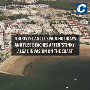 Tourists are avoiding some beaches in Spain due to an invasion of 'stinky' algae along its southern coast 🤢 #spain #travel #Holidays | Newcastle Chronicle