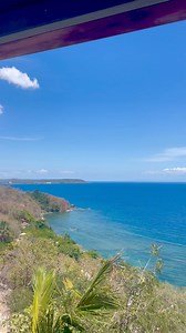 Robie Panis on Reels