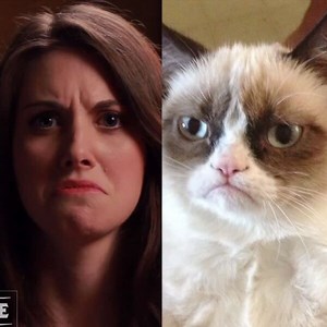 Community's Alison Brie Perfectly Imitates Grumpy Cat and Other Memes, Attempts Unsexy GIF