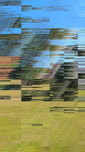 Yard clean up and trimming holly bushes 🌲🍁🎋🏡 | Ashworth Clean Up Crew LLC