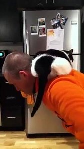 Monkey Bar Gym on Reels