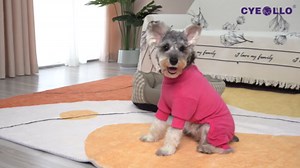 cyeollo Dog Pajamas Warm Christmas Dog Coat Pjs Fleece Thermal Doggie Onesie Stretchy Jumpsuits Cold Weather Jacket Puppy Small Puppy Pajamas Cat Apparel, Color Red XS