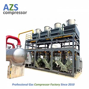[Hot Item] Piston Special High Quality Bog Gas Compressor