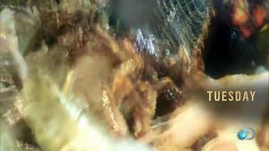 Who's ready for some Time Bandit Tuesday action?! #DeadliestCatch | Deadliest Catch