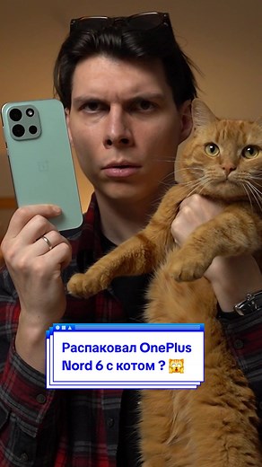 Распаковка OnePlus Nord 6 с котом — честный обзор и первые впечатления