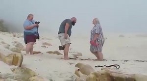 11 reactions · 12 shares | Yo en el amor : soy la de la camara | Sopotamadre | Facebook