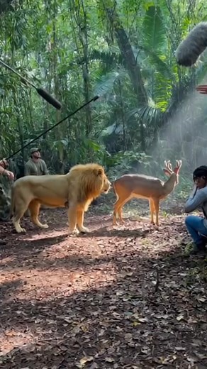 9.2K views | This Movie Scene Went COMPLETELY Off-Script! 女歷 (AI) | Creative Panda | Facebook