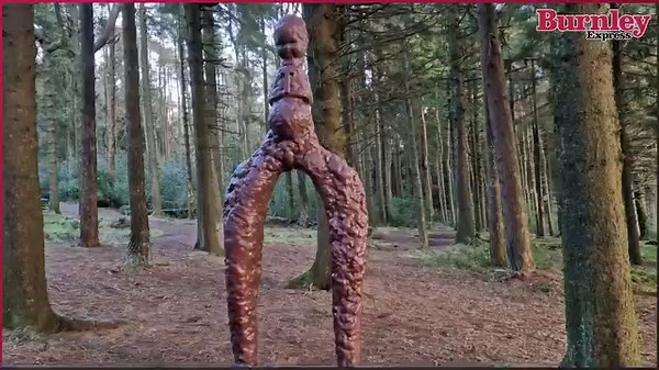 2.8K views · 31 reactions | Burnley Express on Reels | Facebook