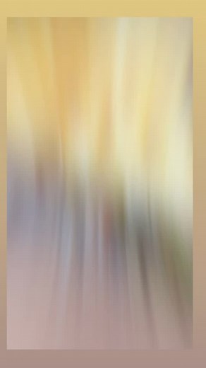 The bag @thepaperbagdeli Gainesville Florida!!! #food, #foodie, #foodporn, #instafood, #yummy, #delicious, #foodphotography, #foodstagram, #foodblogger, #foodlover, #tasty, #dinner, #lunch, #breakfast, #healthyfood, #homemade, #cooking, #dessert, #chef, and #eat. #GuyFieri #Flavortown #DinersDriveInsAndDives #DDD #FoodNetwork #GuyFieriEats #GuyFieriStyle #GuyFieriApproved #GuyFieriFans #GuyFieriNation @plantyou @feelgoodfoodie @shivesh17 @lexiscleankitchen @lifemadesweeter @rosannapansino @wishb