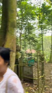 29K views · 208 reactions | Tirta yatra bersama keluarga besar STI BALI .. Pura Sabang Daat …﫰 | kucitadewi.stibali | Facebook