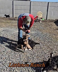 18 reactions | Littleton Ranch on Reels | Facebook