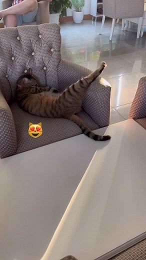 Sun Club Side on Instagram