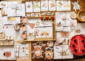 Mini beast EARLY LEARNING - morning basket NATURE INSECT