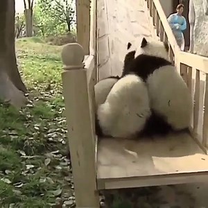 Hafta bitmiş #Cuma gelmişse ve ucunda #tatil kaçamakları varsa sevincimizi belli etme şeklimiz! 'Temsili' #BizimOfis ♥️ Herkese #günaydın | diesre