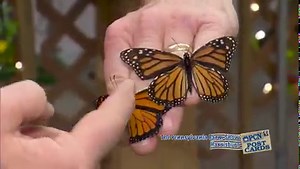 For over 25 years, PCN has brought our viewers coverage of the Pennsylvania Farm Show. Our coverage goes beyond all others, introducing you to the people that sustain and grow Pennsylvania's agriculture industry. ➡️ Learn more about our coverage here: https://pcntv.com/farm-show/ | Pennsylvania Cable Network