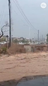 Many roads around Las Vegas, including the strip, saw torrential rains and flash flooding. | USA TODAY Video