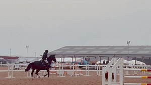 MARANTA 120/125m 7y old GrandPrix | Dun Dealers