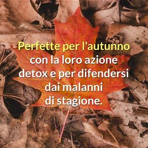 5.8K views · 62 reactions | Ci avviciniamo sempre più all'autunno e in questo periodo è importante eliminare gli stravizi estivi e prepararsi ad affrontare la stagione fredda: puoi farlo con i succhi di Aloe. Ti spieghiamo come usarli al meglio! | Benessence | Facebook