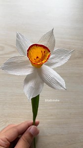 Blta.BiShaba on Reels