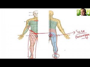 spinal cord diseases and tract