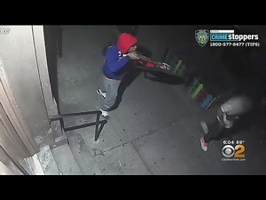 Hamilton Heights Killer Caught On Camera