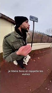 A complex situation 🤔 #dog #dogtraining #husky #huskylife #shetland #puppy #dogs