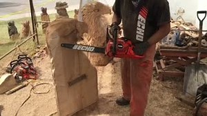 Make sure you don't miss the live Chainsaw Carvings every day at the 2018 #TulsaStateFair! | Tulsa State Fair