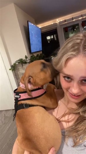 supposed to be a cute dog video until i put the camera down and LOOKED LIKE I WAS EXPECTING #foryou #laugh #puppy | DeVore Ledridge