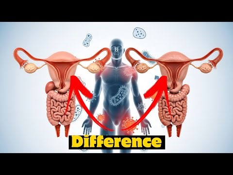What Happens in the Body With Multiple Partners | 3D Medical Explanation | Is It Harmful?