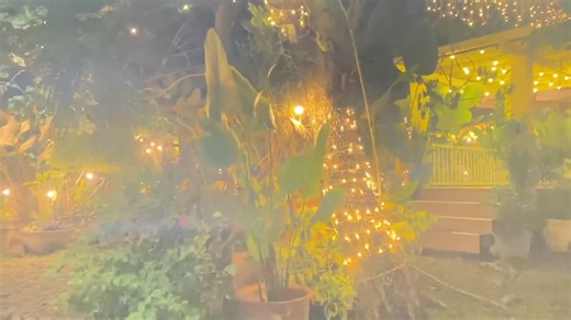 45K views · 411 reactions | Overflowing Natural Fresh Water in Tambulig Mountain Spring Resort The Swimming Pools The Pond and The Botanical Garden | OneTV Philippines | Facebook