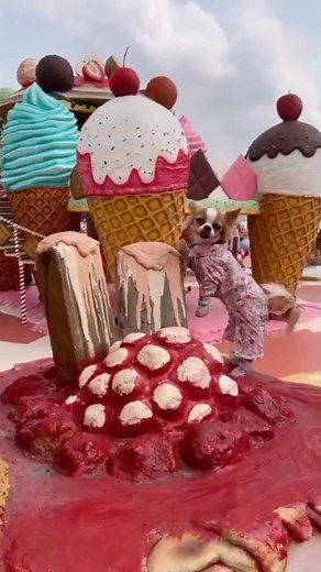 Great&Grand Sweet Destination, The one and only Candy land themed park in the world | Great&Grand Sweet Destination