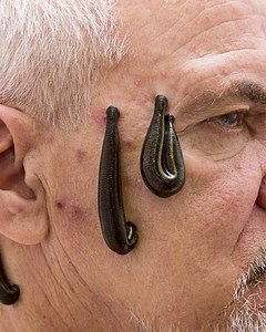 How big can leeches get? | Crazy Creatures