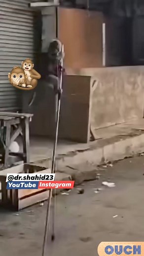 31K views · 238 reactions | #hum kisi se kam nahi  #waah kya scene hai  #circus #hasna jaroori hai  | Shahid Is | Facebook