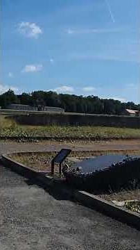 Post war fate of sex slaves in Nazi concentration camps