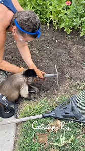 110K views · 11K reactions | Weeding the Flower beds with my Gaga!  | Grae Farms LLC | Facebook