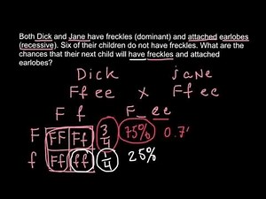 Probability in Genetics