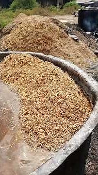 parboiling of paddy, rice processing process