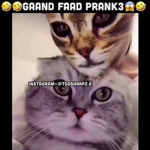 ToosharpDubs on Reels