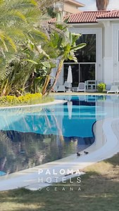 Paloma Hotels on Reels