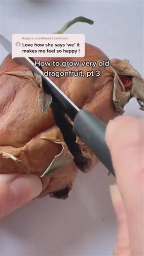 #gardening #garden #flowers #plants #nature #gardenlife #flower #gardendesign #growyourown #gardener #plantsofinstagram #naturephotography #gardeninspiration #growyourownfood #gardens #photography #green #plant #organic #mygarden #flowerstagram #flowersofinstagram #homegrown #gardenlove #plantsmakepeoplehappy #love #landscaping #landscape #organicgardening #gardensofinstagram | Amazing Gardening | Facebook